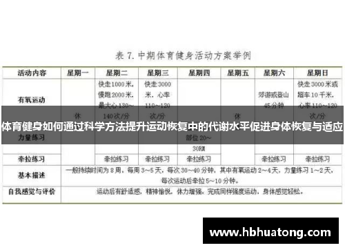 体育健身如何通过科学方法提升运动恢复中的代谢水平促进身体恢复与适应