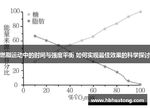燃脂运动中的时间与强度平衡 如何实现最佳效果的科学探讨