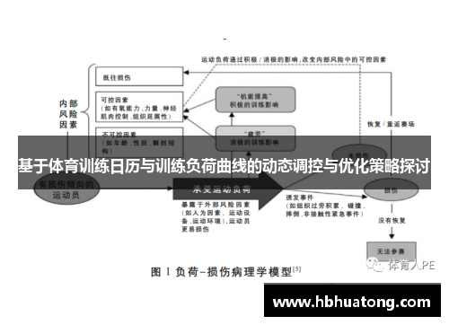 基于体育训练日历与训练负荷曲线的动态调控与优化策略探讨